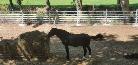 Lote de Terreno  Venda em Barcarena,Oeiras
