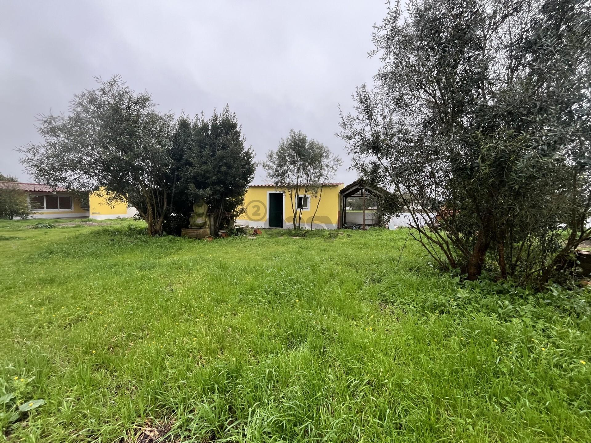 Moradia T3 +2 com piscina