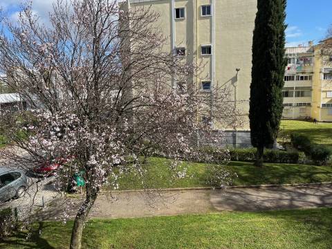 Remodelado Junto às Portas Benfica Oferta da Escritura
