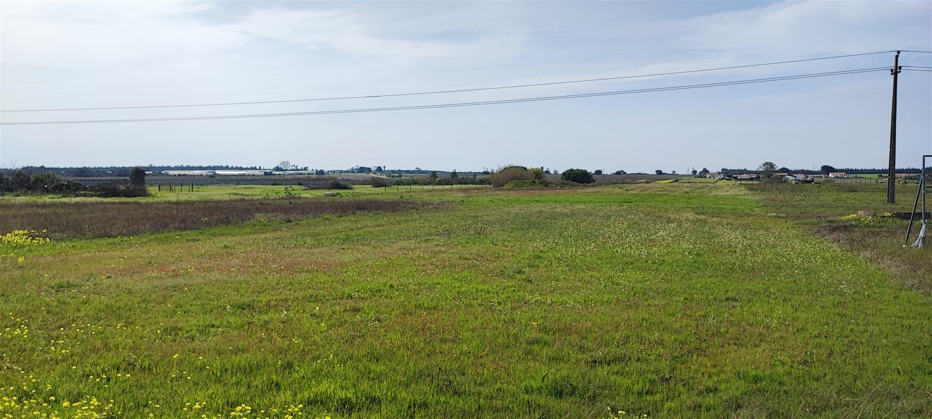 Terreno urbanizável para venda em Taipadas - Canha - Montijo