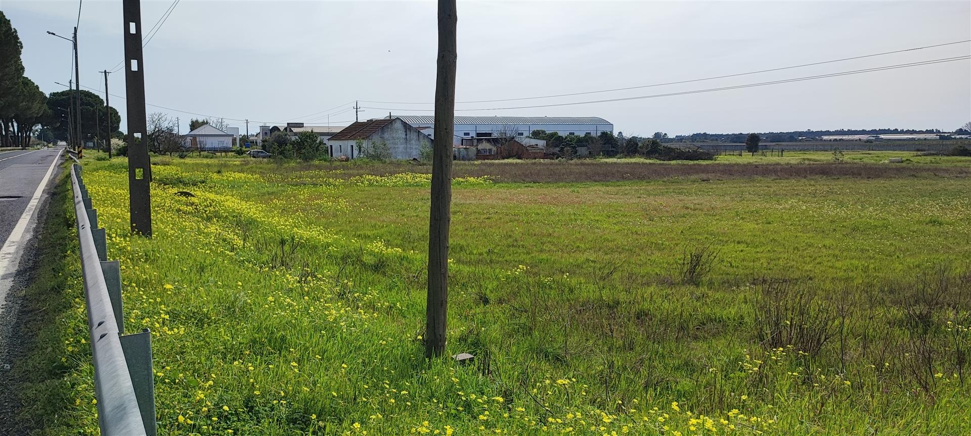 Terreno urbanizável para venda em Taipadas - Canha - Montijo