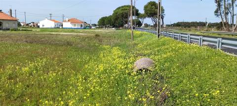 Terreno urbanizável para venda em Taipadas - Canha - Montijo