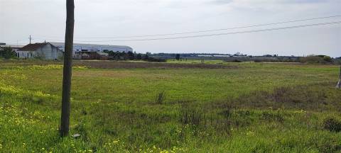 Terreno urbanizável para venda em Taipadas - Canha - Montijo