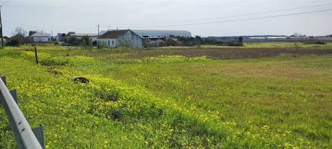 Terreno urbanizável para venda em Taipadas - Canha - Montijo