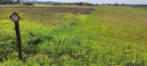 Terreno urbanizável para venda em Taipadas - Canha - Montijo