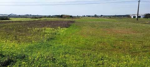 Terreno urbanizável para venda em Taipadas - Canha - Montijo
