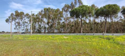 Terreno urbanizável para venda em Taipadas - Canha - Montijo