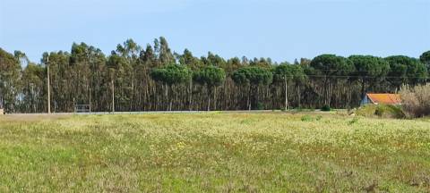 Terreno urbanizável para venda em Taipadas - Canha - Montijo
