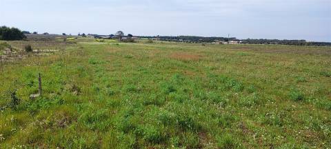 Terreno urbanizável para venda em Taipadas - Canha - Montijo