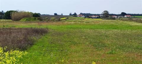 Terreno urbanizável para venda em Taipadas - Canha - Montijo