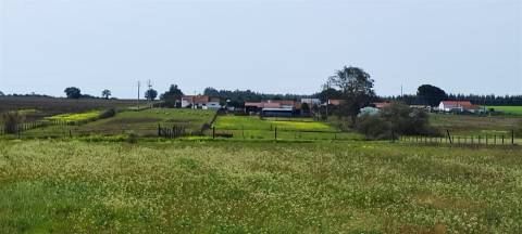 Terreno urbanizável para venda em Taipadas - Canha - Montijo