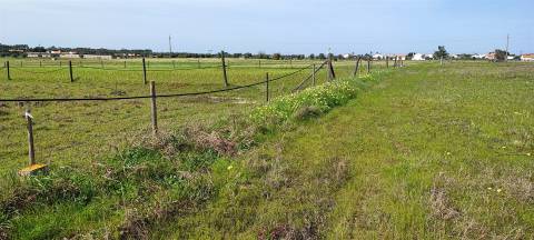 Terreno urbanizável para venda em Taipadas - Canha - Montijo