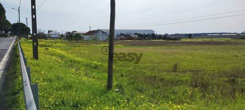Terreno urbanizável para venda em Taipadas - Canha - Montijo