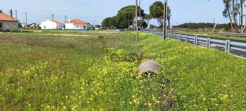 Terreno urbanizável para venda em Taipadas - Canha - Montijo