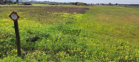 Terreno urbanizável para venda em Taipadas - Canha - Montijo