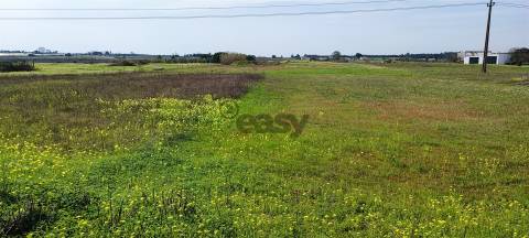 Terreno urbanizável para venda em Taipadas - Canha - Montijo