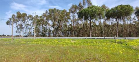 Terreno urbanizável para venda em Taipadas - Canha - Montijo