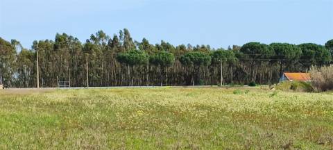 Terreno urbanizável para venda em Taipadas - Canha - Montijo