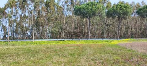 Terreno urbanizável para venda em Taipadas - Canha - Montijo