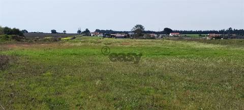 Terreno urbanizável para venda em Taipadas - Canha - Montijo