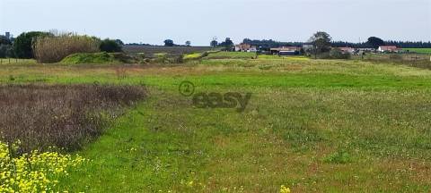 Terreno urbanizável para venda em Taipadas - Canha - Montijo
