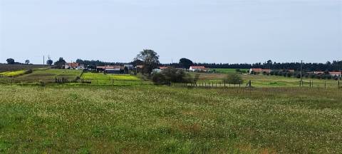 Terreno urbanizável para venda em Taipadas - Canha - Montijo