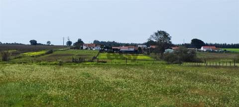 Terreno urbanizável para venda em Taipadas - Canha - Montijo