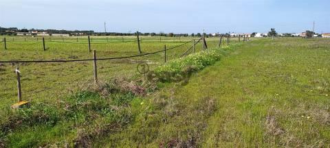 Terreno urbanizável para venda em Taipadas - Canha - Montijo
