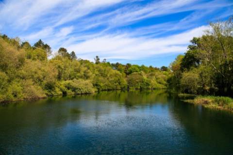 Moradia T1 a 30m do Rio Coura em Covas | V.N. Cerveira