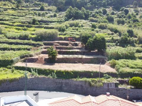 Terreno Rústico  Venda em Arco da Calheta,Calheta (Madeira)