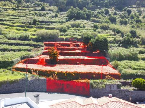 Terreno Rústico  Venda em Arco da Calheta,Calheta (Madeira)