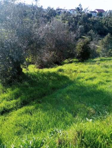 Terreno Rústico em Vila de rei