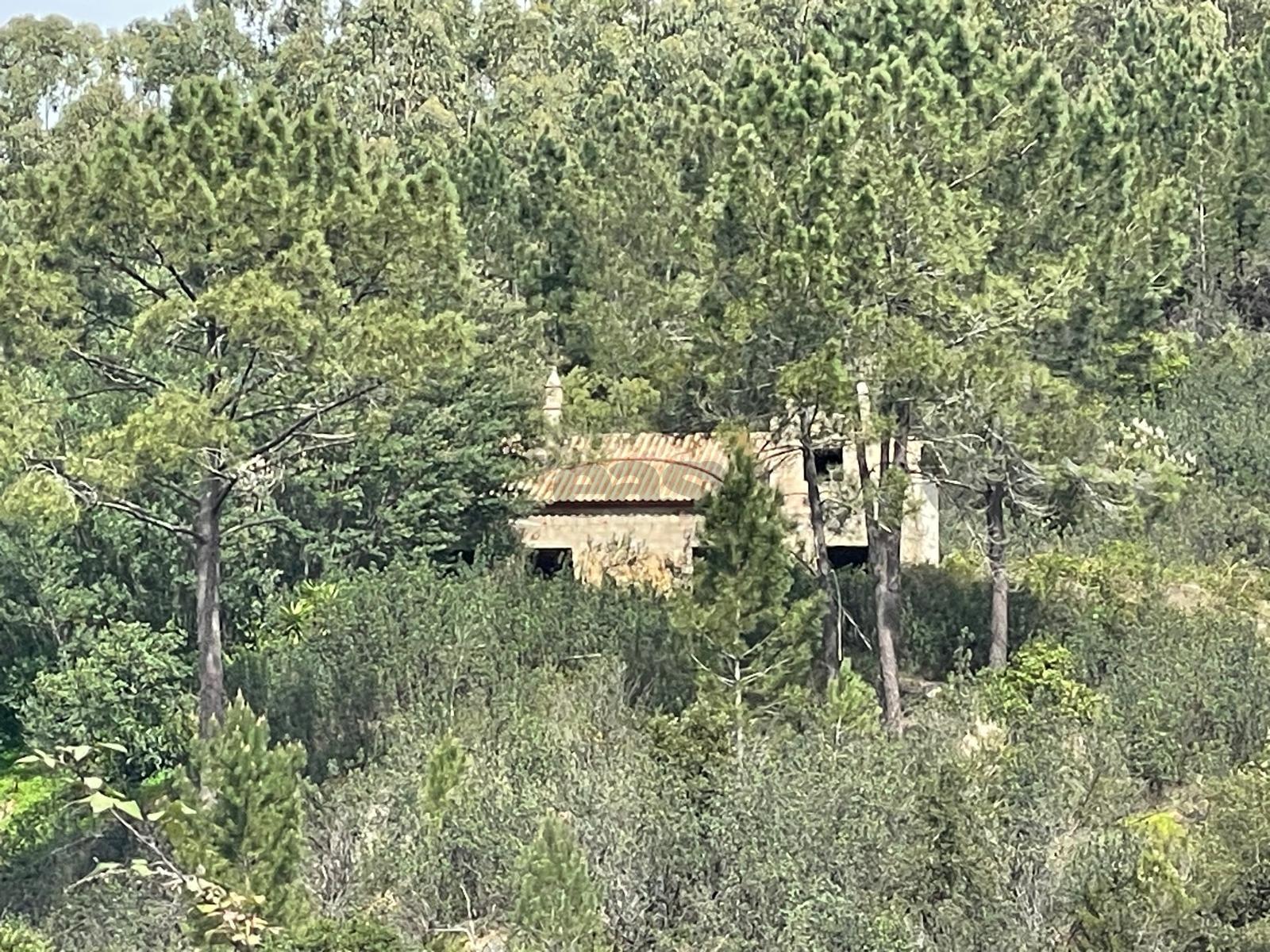 1 hora do aeroporto de faro e menos de 30 min das praias, terreno com 1,9 ha e Edificação
