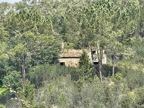 1 hora do aeroporto de faro e menos de 30 min das praias, terreno com 1,9 ha e Edificação