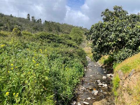 1 hora do aeroporto de faro e menos de 30 min das praias, terreno com 1,9 ha e Edificação
