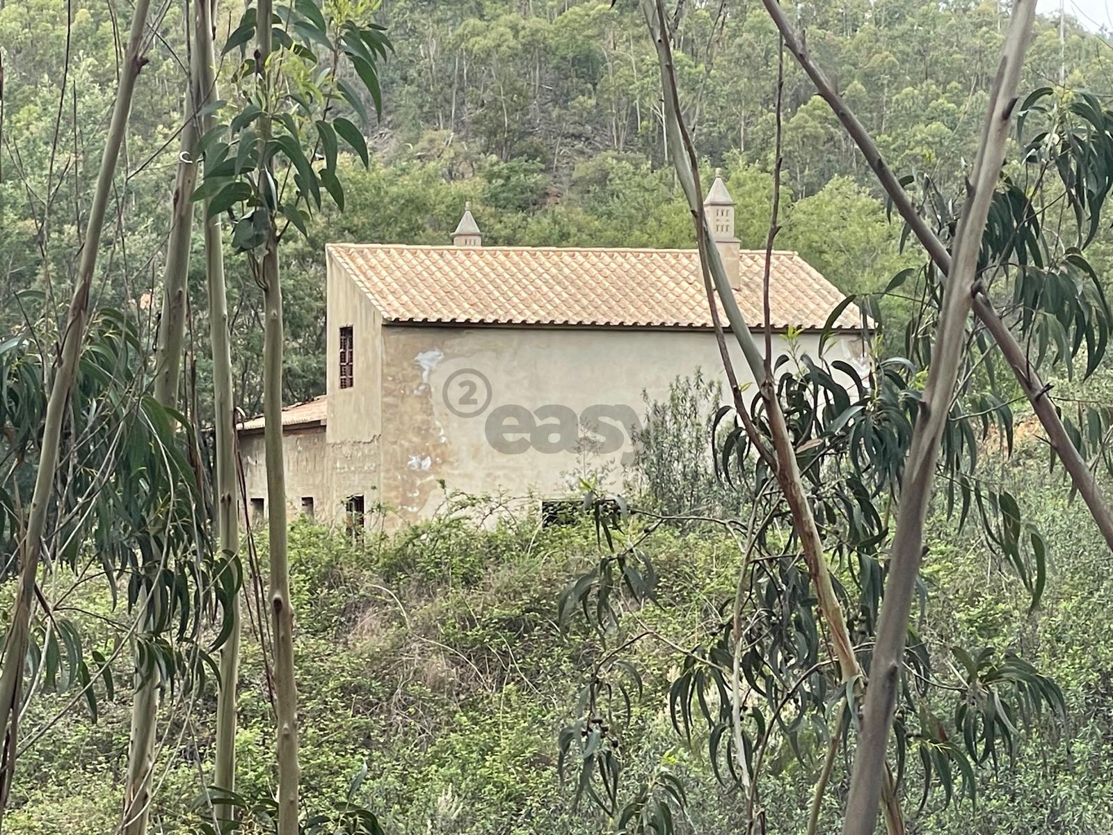 1 hora do aeroporto de faro e menos de 30 min das praias, terreno com 1,9 ha e Edificação