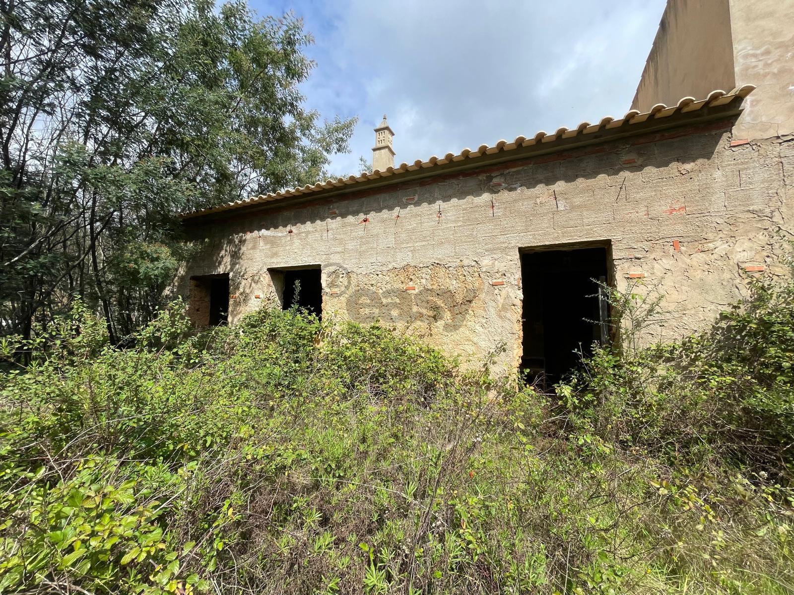 1 hora do aeroporto de faro e menos de 30 min das praias, terreno com 1,9 ha e Edificação