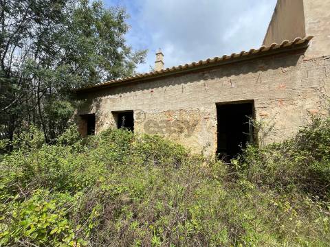 1 hora do aeroporto de faro e menos de 30 min das praias, terreno com 1,9 ha e Edificação