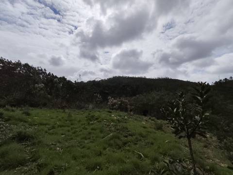 1 hora do aeroporto de faro e menos de 30 min das praias, terreno com 1,9 ha e Edificação