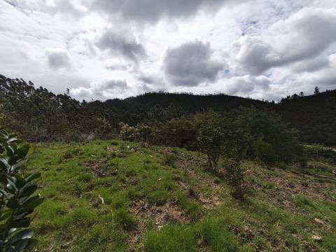 1 hora do aeroporto de faro e menos de 30 min das praias, terreno com 1,9 ha e Edificação