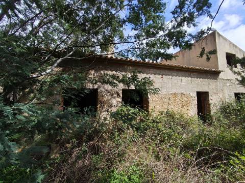 1 hora do aeroporto de faro e menos de 30 min das praias, terreno com 1,9 ha e Edificação