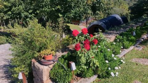 Eco-Resort de Luxo em Covas | Refúgio Exclusivo no Alto Minho