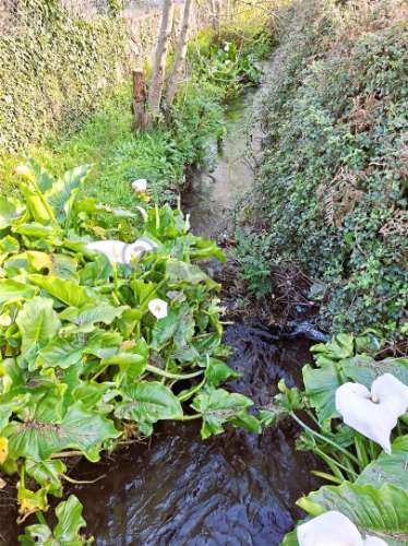 Terreno para construção ,1620m² em Covas: PIP Aprovado e Vista Serra d´Arga