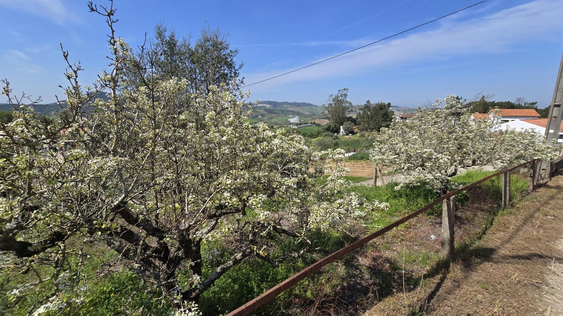 Terreno com possibilidade para moradia T2 | Azueira