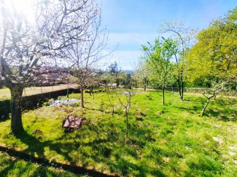 Casa de Pedra com Terreno em Covas