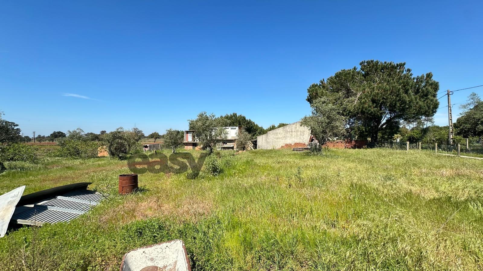 Quinta T3 com 3.780m2 Terreno, Pomar, Poço e Tranquilidade a 50 minutos de Lisboa em Vendas Novas