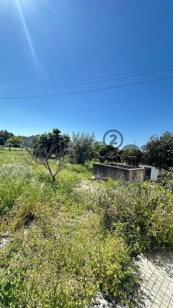 Quinta T3 com 3.780m2 Terreno, Pomar, Poço e Tranquilidade a 50 minutos de Lisboa em Vendas Novas