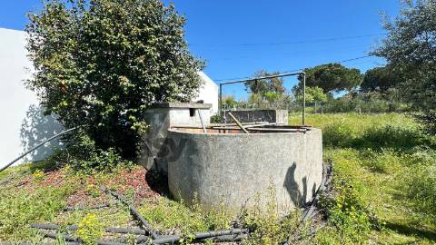 Quinta T3 com 3.780m2 Terreno, Pomar, Poço e Tranquilidade a 50 minutos de Lisboa em Vendas Novas