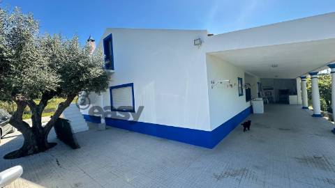 Quinta T3 com 3.780m2 Terreno, Pomar, Poço e Tranquilidade a 50 minutos de Lisboa em Vendas Novas