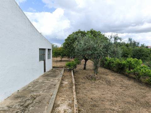 Moradia T2 inserida em lote com 849m2 em Ermidas-Sado